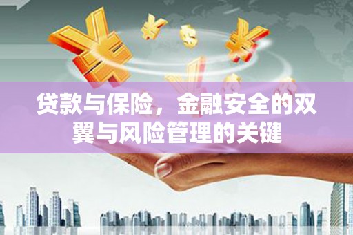 中方贷款与保险，金融安全的双翼与风险管理的关键