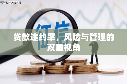 弓长岭贷款违约率，风险与管理的双重视角