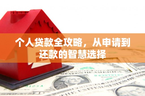 青河个人贷款全攻略，从申请到还款的智慧选择