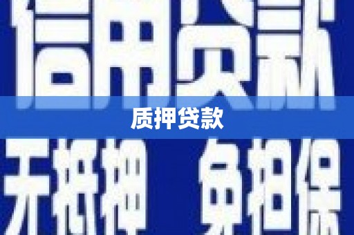虎林质押贷款