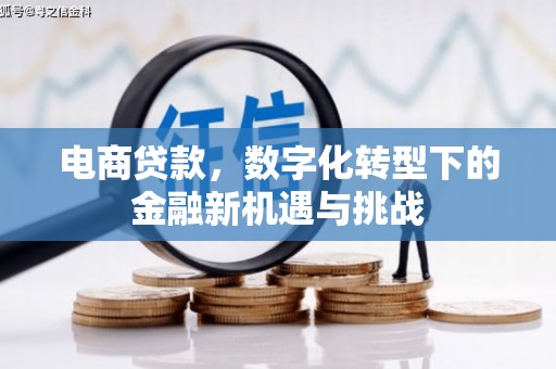 西平电商贷款，数字化转型下的金融新机遇与挑战