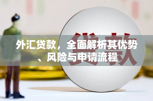 秀洲外汇贷款，全面解析其优势、风险与申请流程
