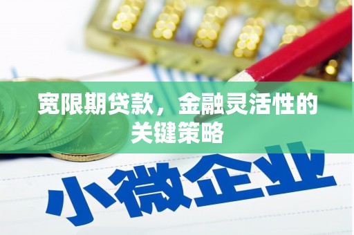 西夏宽限期贷款，金融灵活性的关键策略