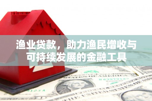 石鼓渔业贷款，助力渔民增收与可持续发展的金融工具