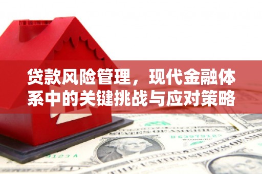 东乌旗贷款风险管理，现代金融体系中的关键挑战与应对策略