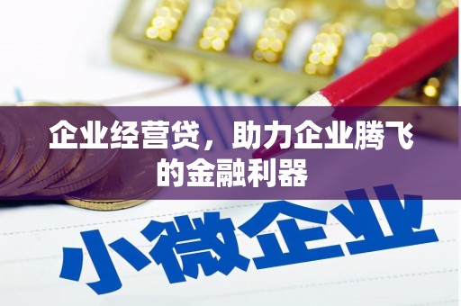馆陶企业经营贷，助力企业腾飞的金融利器