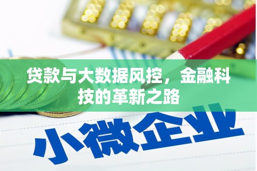 石冈贷款与大数据风控，金融科技的革新之路