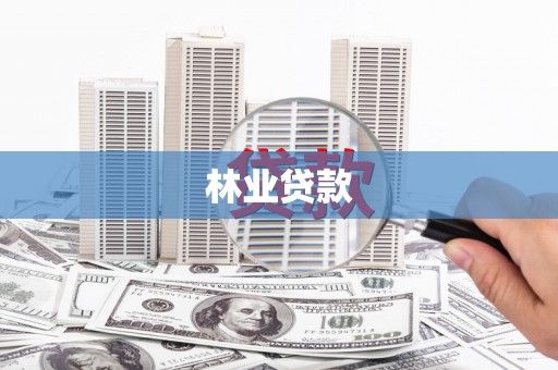 宝山林业贷款