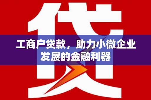 水上工商户贷款，助力小微企业发展的金融利器