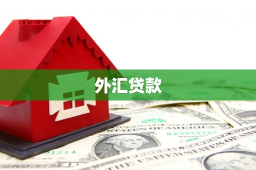 镇巴外汇贷款