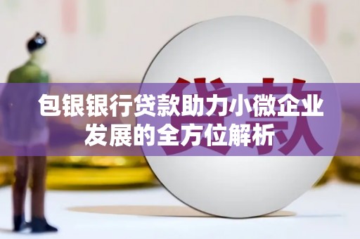 濮阳包银银行贷款助力小微企业发展的全方位解析 濮阳包银银行贷款助力小微企业发展的全方位解析