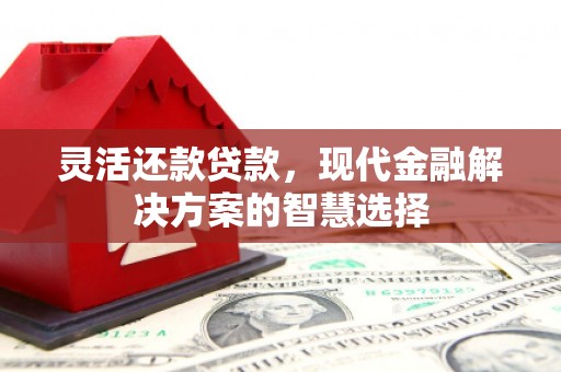 荣县灵活还款贷款，现代金融解决方案的智慧选择