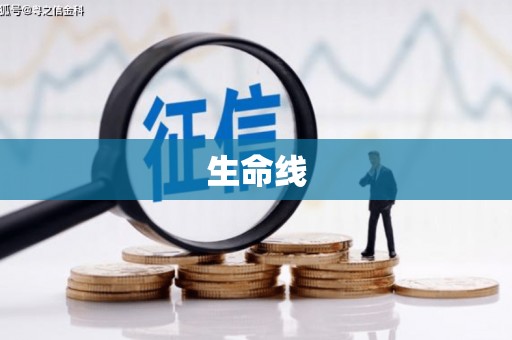 兰西生命线