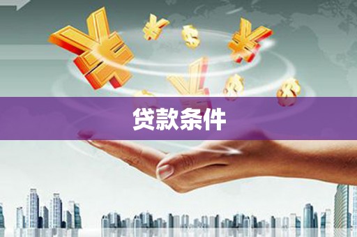 九台贷款条件