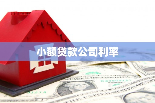 龙潭小额贷款公司利率