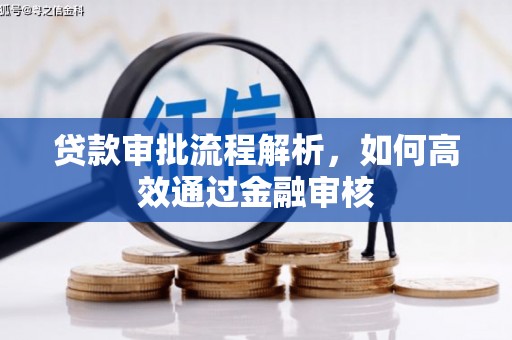 龙游贷款审批流程解析，如何高效通过金融审核