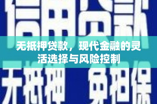 普湾新区无抵押贷款，现代金融的灵活选择与风险控制
