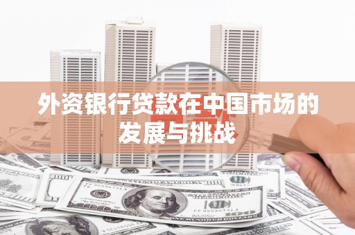 炉霍外资银行贷款在中国市场的发展与挑战