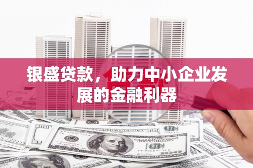 池上银盛贷款，助力中小企业发展的金融利器