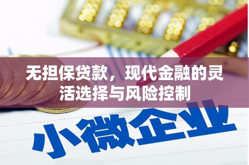 公安无担保贷款，现代金融的灵活选择与风险控制