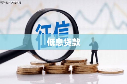 姚安低息贷款