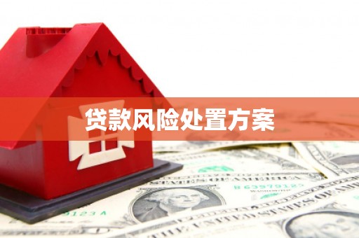 闵行贷款风险处置方案