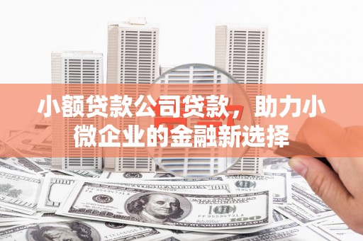 金湖小额贷款公司贷款，助力小微企业的金融新选择