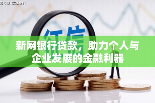 阜康新网银行贷款，助力个人与企业发展的金融利器
