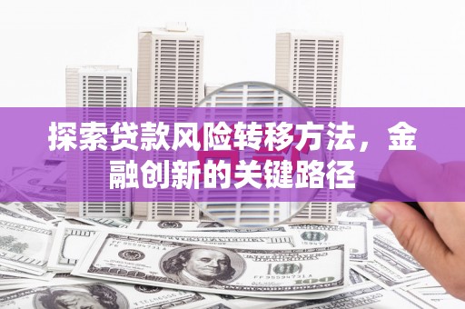 瓮安探索贷款风险转移方法，金融创新的关键路径