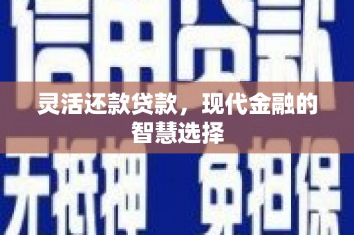 沈丘灵活还款贷款，现代金融的智慧选择