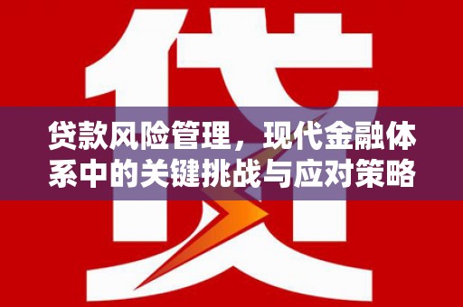 永川贷款风险管理，现代金融体系中的关键挑战与应对策略