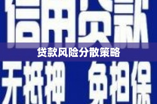 城西贷款风险分散策略