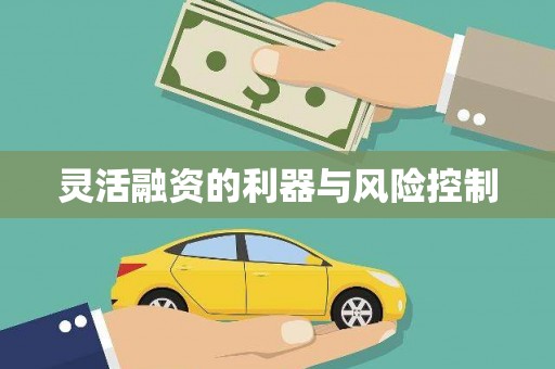 公安灵活融资的利器与风险控制