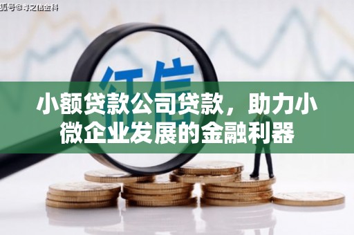 崖州小额贷款公司贷款，助力小微企业发展的金融利器