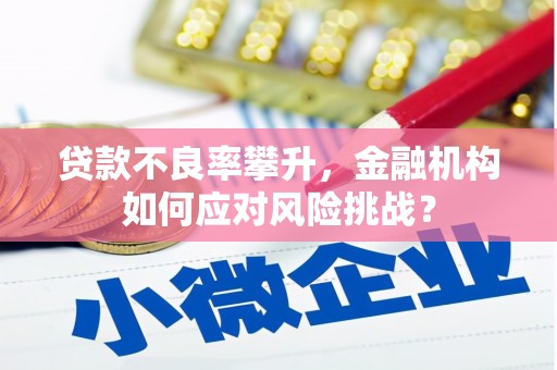 南山贷款不良率攀升，金融机构如何应对风险挑战？