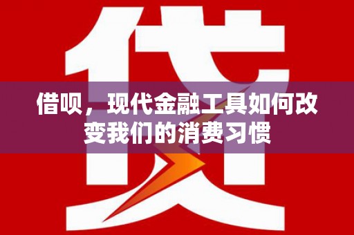 汉源借呗，现代金融工具如何改变我们的消费习惯