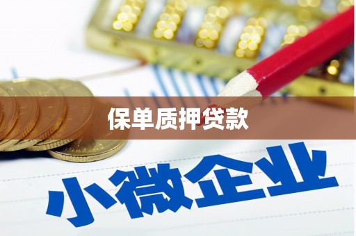 朔城保单质押贷款
