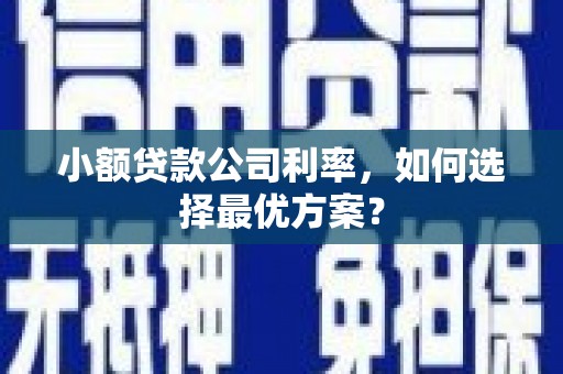 杏花岭小额贷款公司利率，如何选择最优方案？