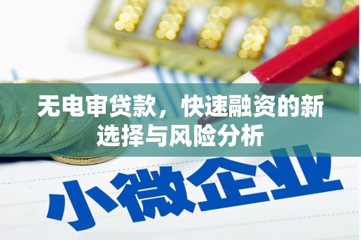 沙雅无电审贷款，快速融资的新选择与风险分析