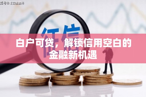 上甘岭白户可贷，解锁信用空白的金融新机遇