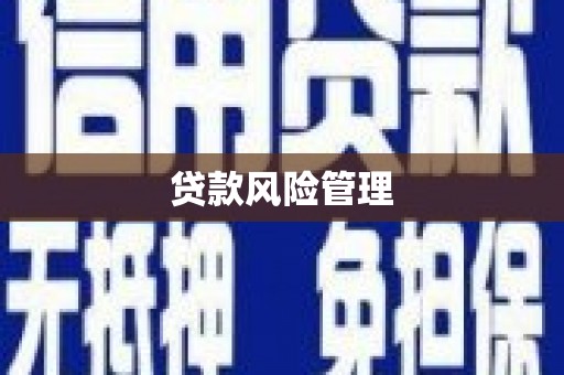 玉树贷款风险管理
