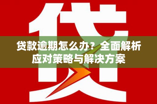 东丰贷款逾期怎么办？全面解析应对策略与解决方案