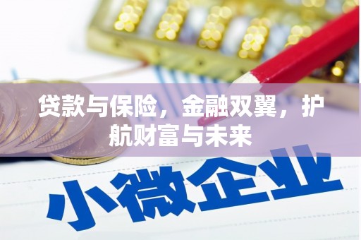 柳河贷款与保险，金融双翼，护航财富与未来