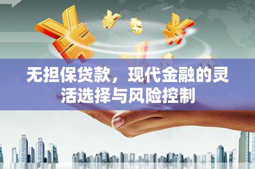 舞阳无担保贷款，现代金融的灵活选择与风险控制