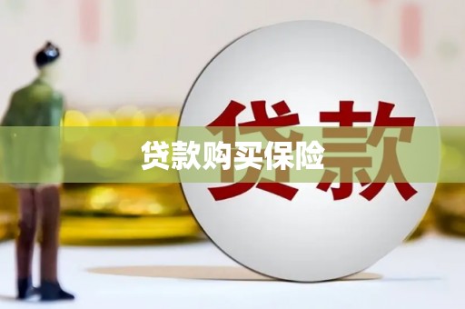 合浦贷款购买保险
