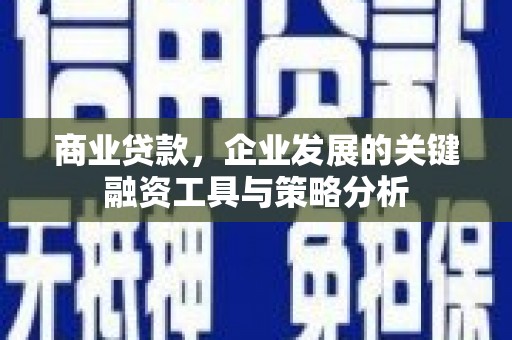 曹县商业贷款，企业发展的关键融资工具与策略分析