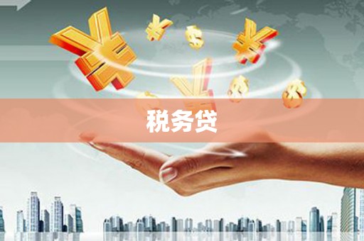郊区税务贷