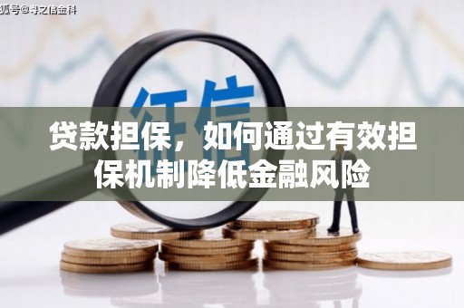 泰兴贷款担保，如何通过有效担保机制降低金融风险