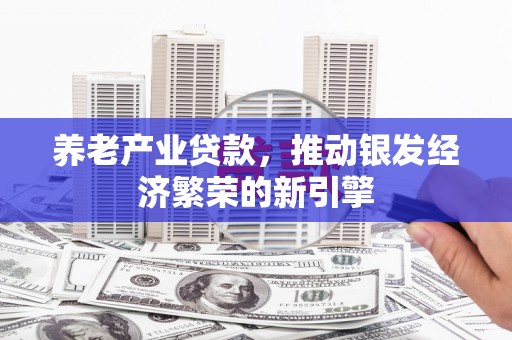 桥东养老产业贷款，推动银发经济繁荣的新引擎