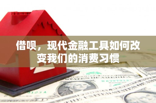 中西区借呗，现代金融工具如何改变我们的消费习惯